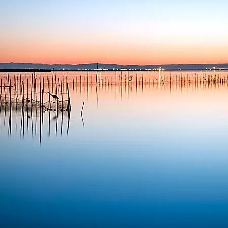 Albufera Alfafar